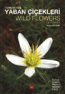 Türkiye'nin Yaban Çiçekleri - Wild Flowers of Turkey
