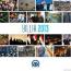 Anadolu Ajansı Yıllık 2013