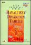 Hayali Bey Divanı'nın Tahlili