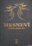 Mesnevi