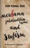 Mevlana Jalaluddin Rumi and Sufism A Dervish's Logbook