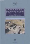 Amorium Reports 3