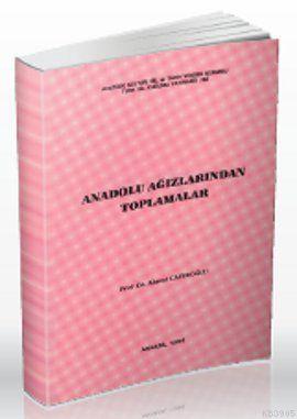 Anadolu Ağızlarından Toplamalar