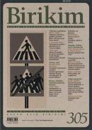 Birikim Sayı 305