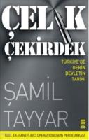 Çelik Çekirdek