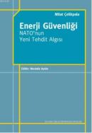 Enerji Güvenliği Nato'nun Yeni Tehdit Algısı