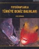 Fotoğraflarla Türkiye Deniz Balıkları Ateş Evirgen