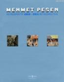 Mehmet Pesen Retrospektif