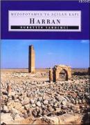 Mezopotamya'ya Açılan Kapı Harran