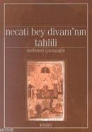 Necati Bey Divanı'nın Tahlilleri %20 indirimli Mehmed Çavuşoğlu