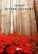 Turkey Divine Colours Kolektif